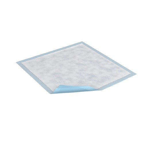 Essity Piqué TENA® Regular, Light Absorbency, 17 in x 24 in Blue Case of 300