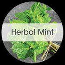 WAVE 3D — Tamis d'urinoir, parfum menthe (2/pqt)