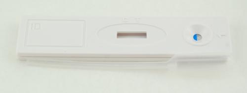 Test d'urine de grossesse QUICKSTEP PLUS format casette bt/20